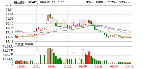 宣亚国际:公司无逾期对外担保