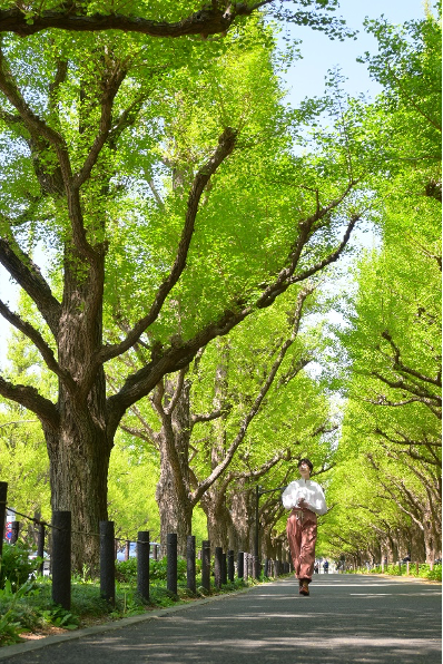 踏青寻色,以尼康定格春日温柔