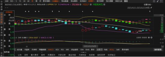 嘉应制药关联方资金占用2.2亿被罚，投资者可索赔